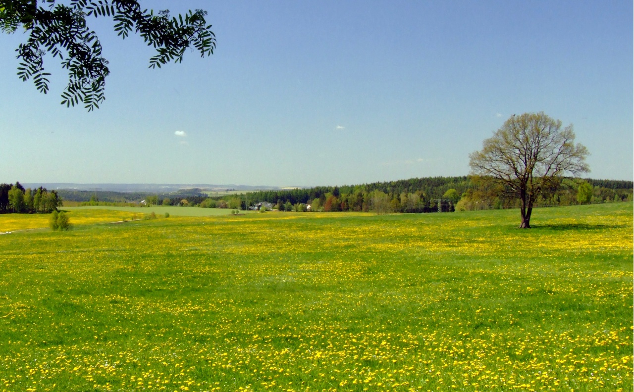 Schreiersgrün, Blick ins Land
